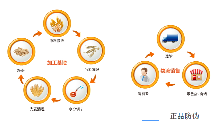 防伪系统开发公司