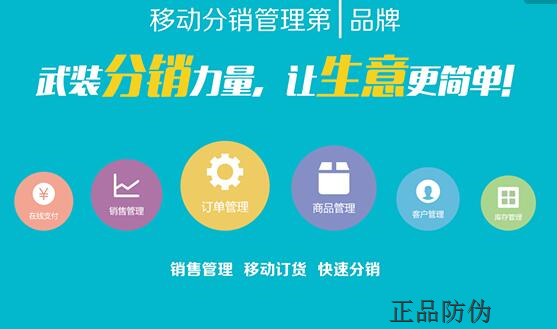 分销系统开发